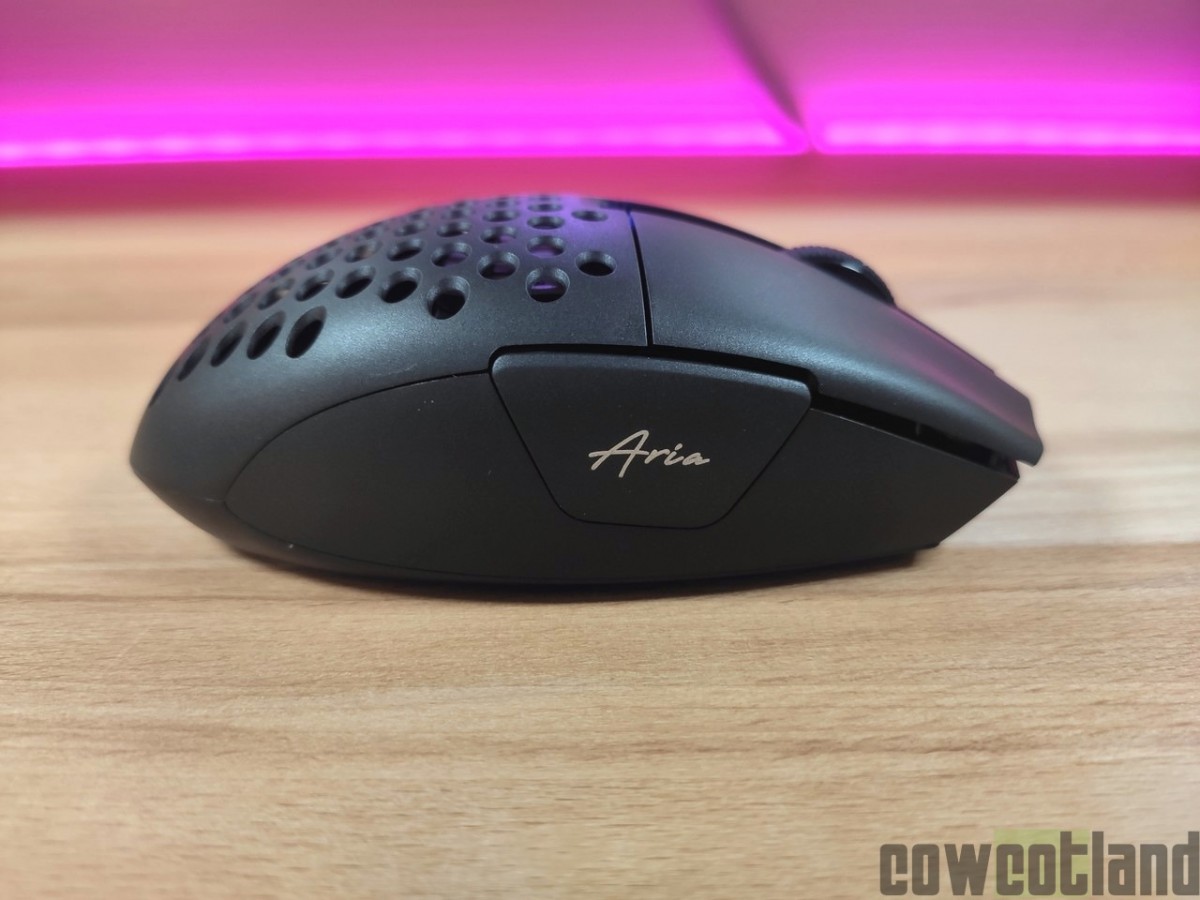 Souris Gaming FlowUP Challenger