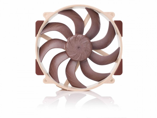 Noctua