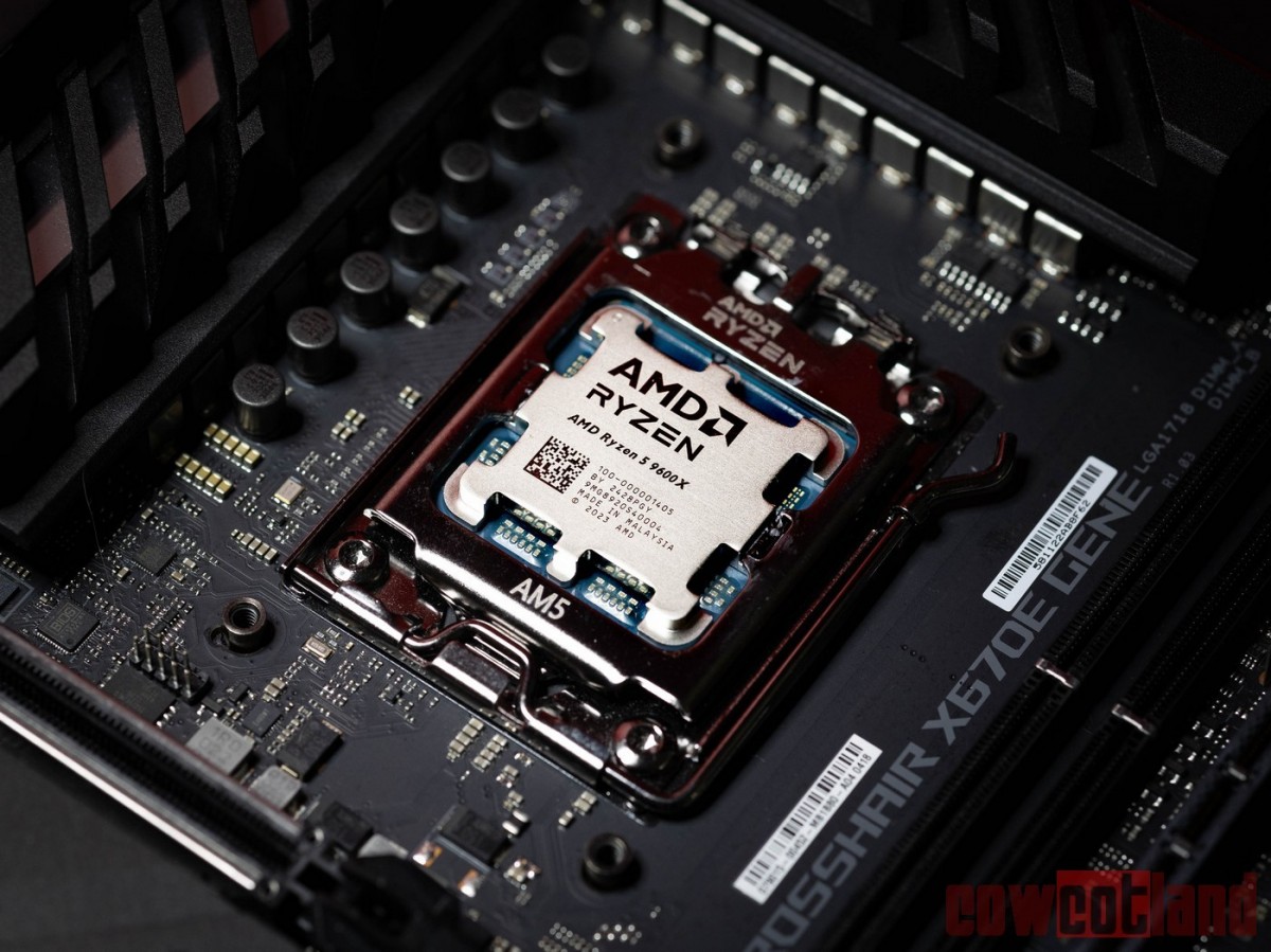 Image 69023, galerie Test processeurs : AMD Ryzen 5 9600X et Ryzen 7 9700X, et si on baissait le chauffage ? 