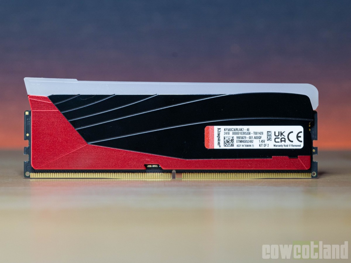 Image 68840, galerie Test mmoire Kingston Fury Renegade DDR5 RGB Limited Edition 2 x 24 Go 8000 MT/s c36