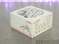 Cliquez pour agrandir SEASONIC VERTEX GX-1000 Sakura Edition : Japan Style